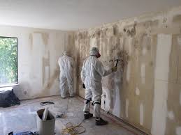 Dehumidification Services in Mesita, NM